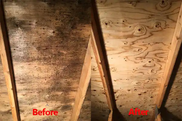water damage restoration service Seaside Park